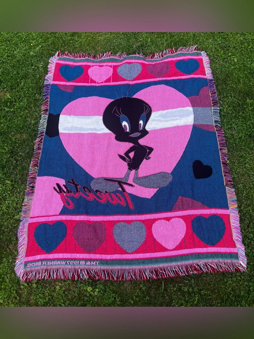 Vintage 1997 Warner Bros. ‘Tweety Bird’ Fringe Heart Blanket